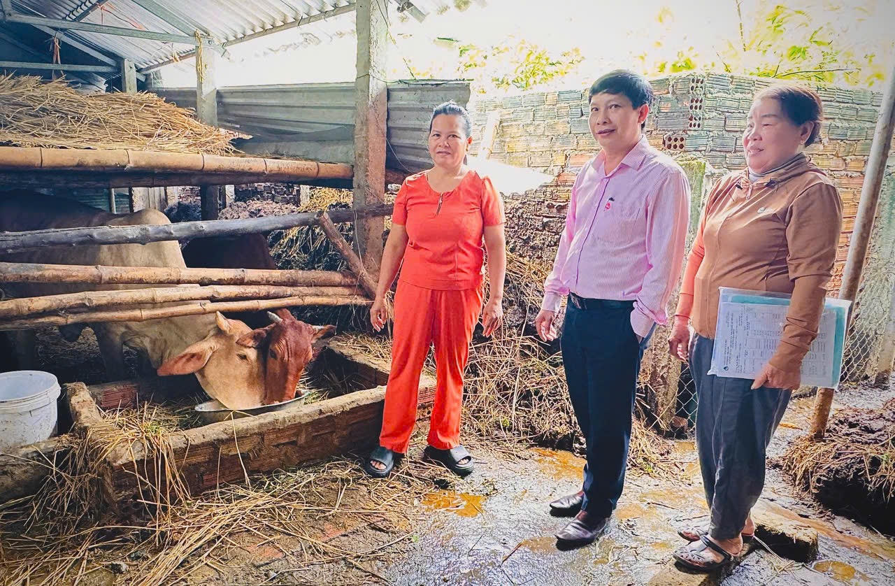 Dấu ấn tín dụng chính sách ở Bình Sơn