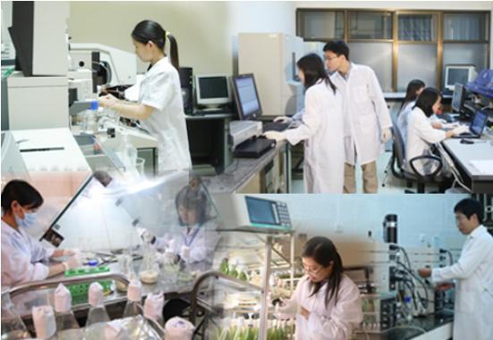 Hà Nội: Hỗ trợ 60 lần mức lương tối thiểu vùng I cho công chức, viên chức ngành Giáo dục được cử đi đào tạo Tiến sĩ