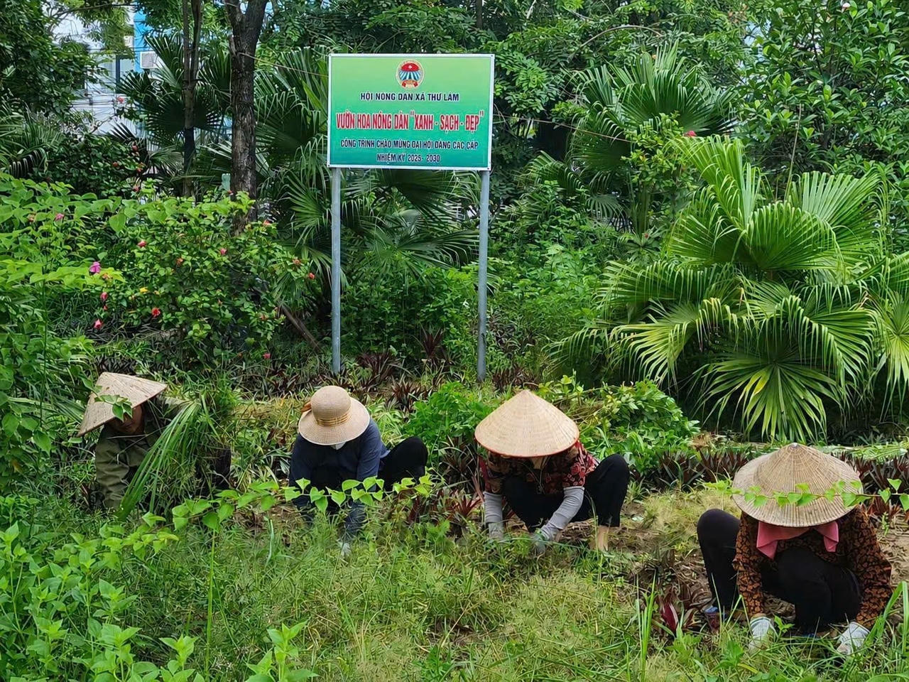 Hội Nông dân xã Thư Lâm triển khai mô hình “Vườn hoa nông dân xanh - sạch - đẹp”, góp phần xây dựng cảnh quan nông thôn ngày càng khang trang.
