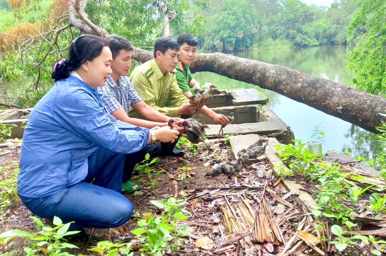 Công an phường Bạc Liêu vừa phối hợp thả 22 cá thể chim Bánh Ít (Motacilla flava) về môi trường tự nhiên tại Vườn chim Bạc Liêu (Ảnh: Hữu Đệ).