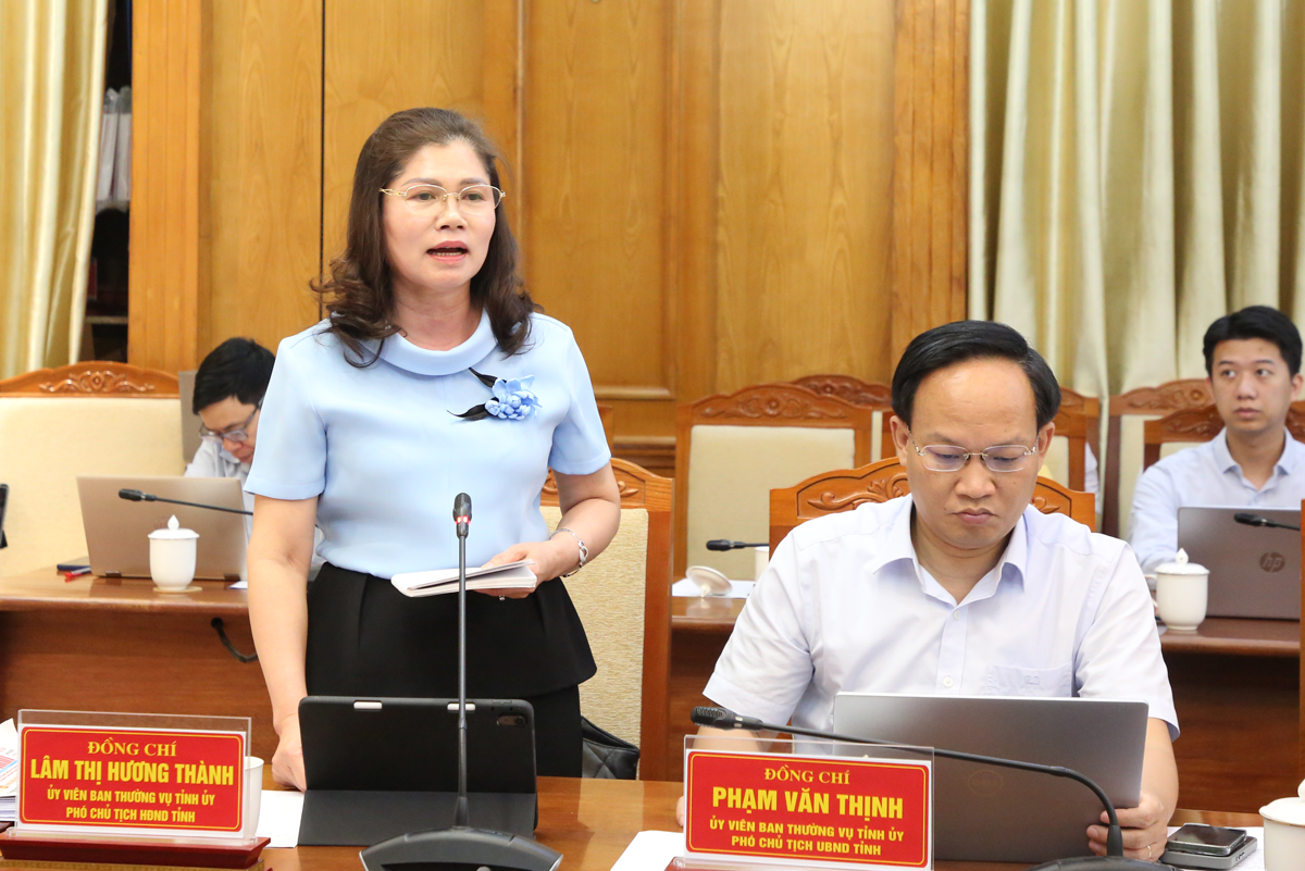 Phó Chủ tịch HĐND tỉnh Lâm Thị Hương Thành phát biểu tại hội nghị.(Ảnh: Cổng thông tin điện tử tỉnh Bắc Ninh)