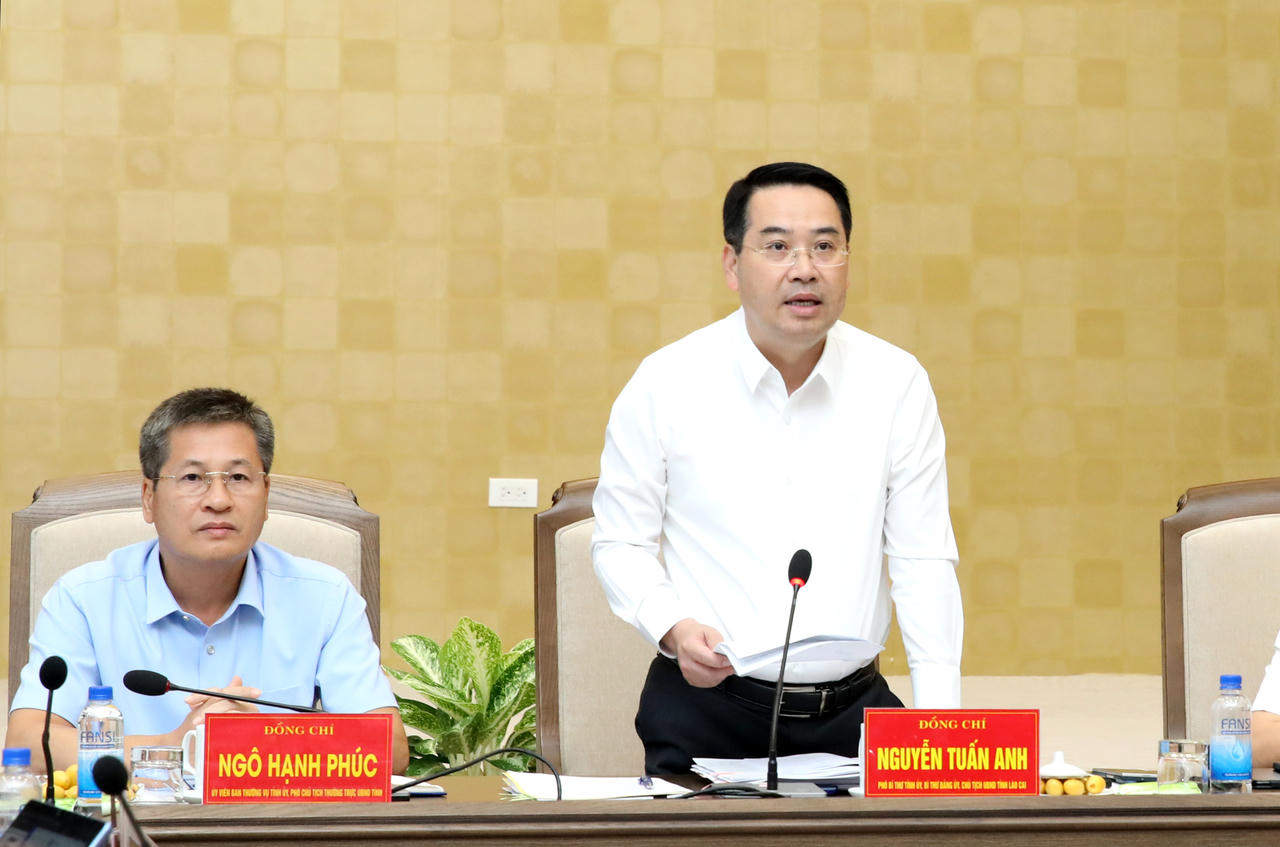 Chủ tịch UBND tỉnh Nguyễn Tuấn Anh phát biểu kết luận .Ảnh: laocai.gov.vn