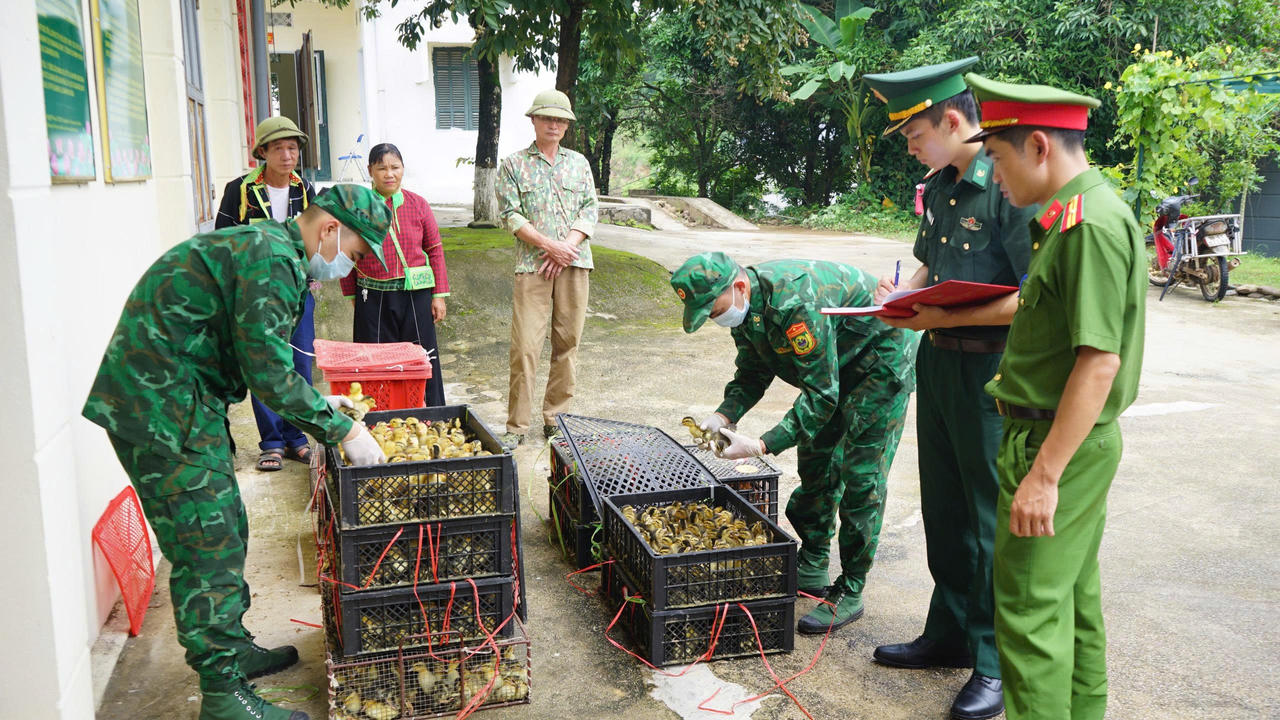 Liên tiếp ngăn chặn các vụ vận chuyển thực phẩm nhập lậu tại Lạng Sơn