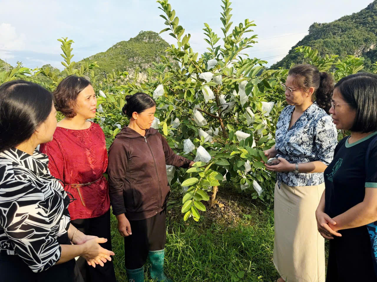 Đoàn công tác của TƯ Hội LHPN Việt Nam tham gia khảo sát thực tế tại xã Chi Lăng và phường Tam Thanh, tỉnh Lạng Sơn trong khuôn khổ Hội thảo khoa học khảo sát thực trạng phụ nữ vùng Trung du và miền núi phía Bắc khởi nghiệp gắn với khoa học, công nghệ ngày 5/8. (Nguồn https://mttq.langson.gov.vn)