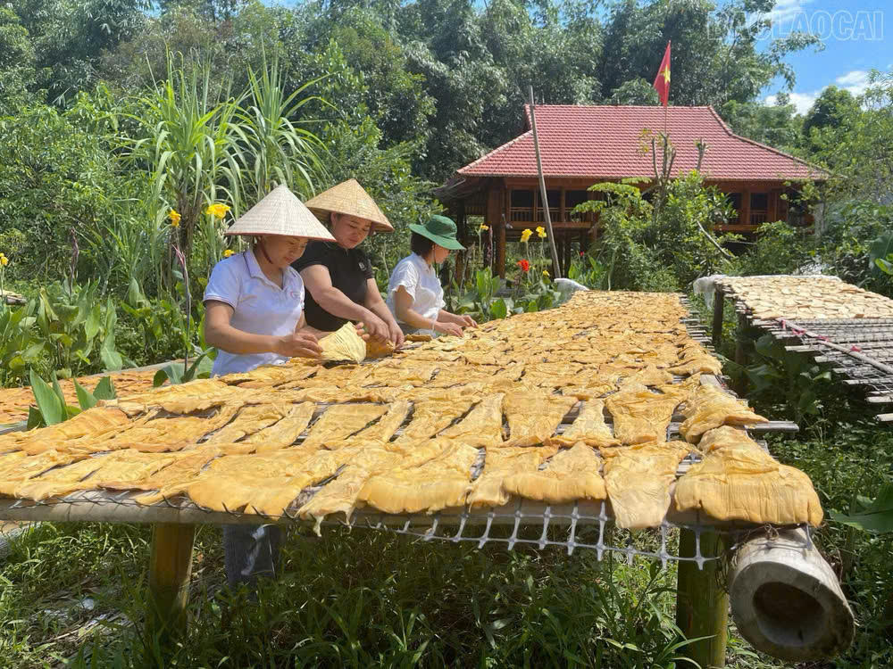 Giữ vững mạch chảy tín dụng chính sách trên vùng đất "ngọc" Lục Yên