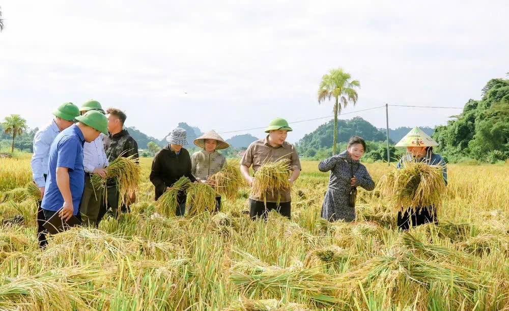 Giữ vững mạch chảy tín dụng chính sách trên vùng đất "ngọc" Lục Yên