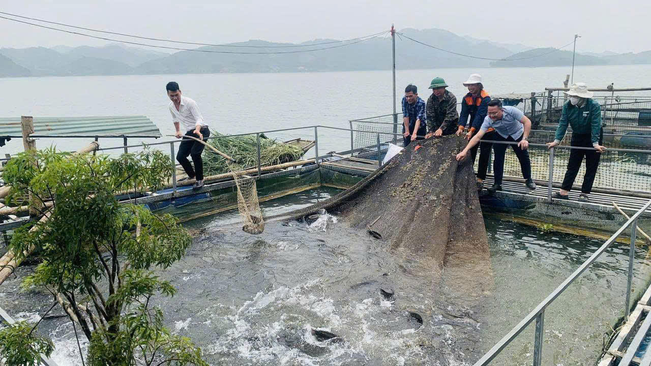 Giữ vững mạch chảy tín dụng chính sách trên vùng đất "ngọc" Lục Yên