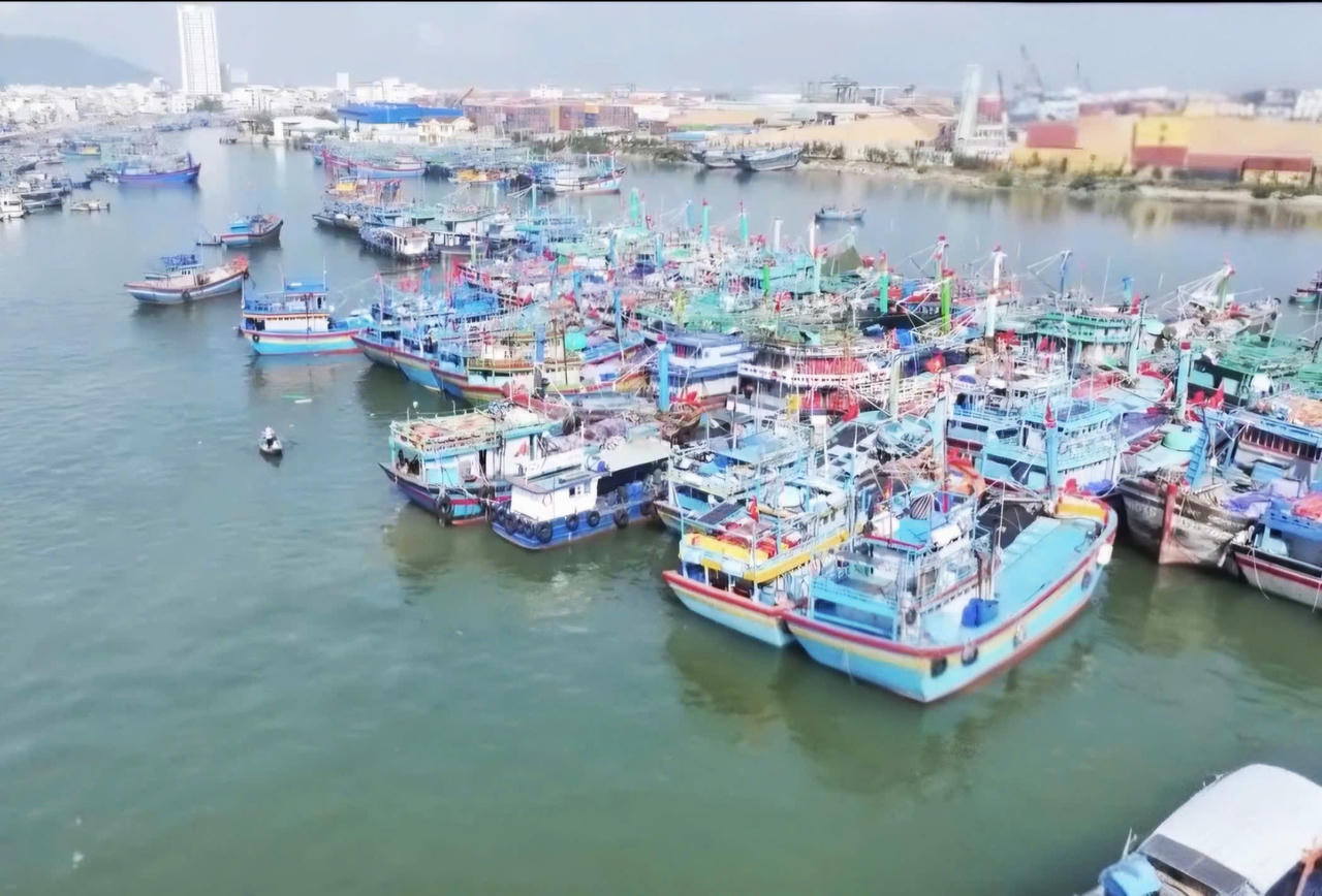 Tỉnh Gia Lai đặt mục tiêu tổng kim ngạch xuất khẩu giai đoạn 2026-2030 đạt trên 17 tỷ USD. Ảnh: Ngọc Châu.