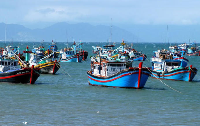 Kế hoạch thực hiện khuyến nghị của EC, quyết tâm gỡ 'Thẻ vàng' IUU trong năm 2026