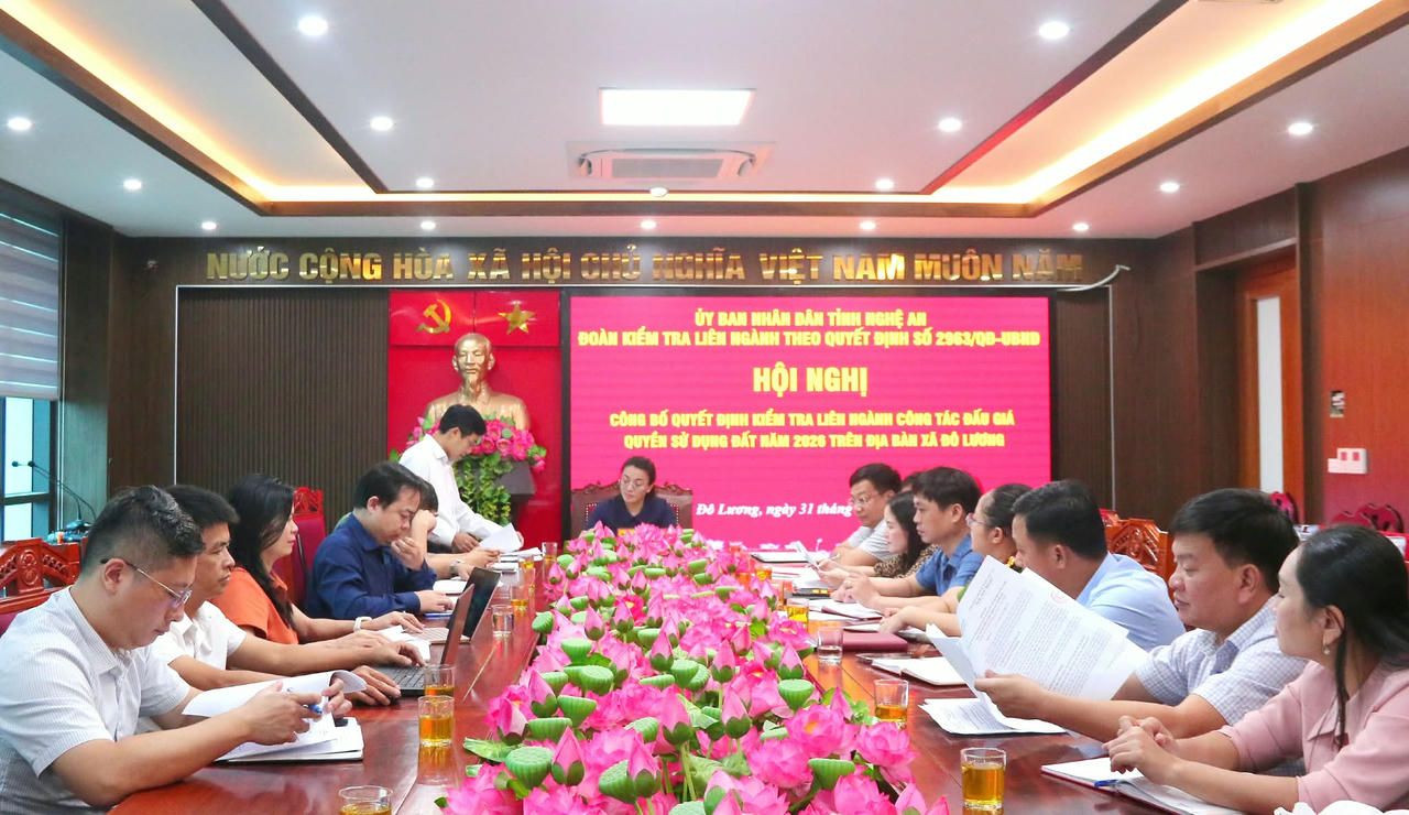 Kiểm tra liên ngành hoạt động đấu giá quyền sử dụng đất tại Nghệ An