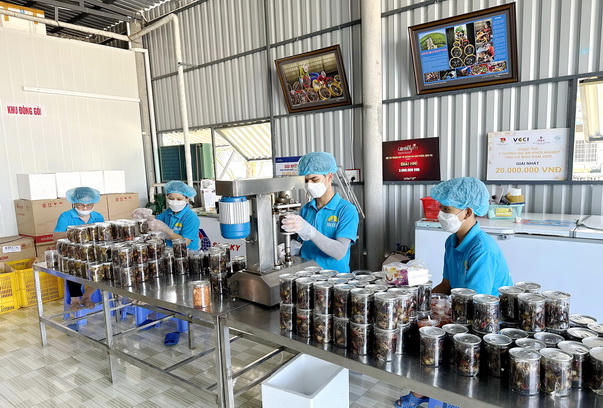 Cà Mau "khát" nhân lực chất lượng cao, cần hơn 11.700 lao động