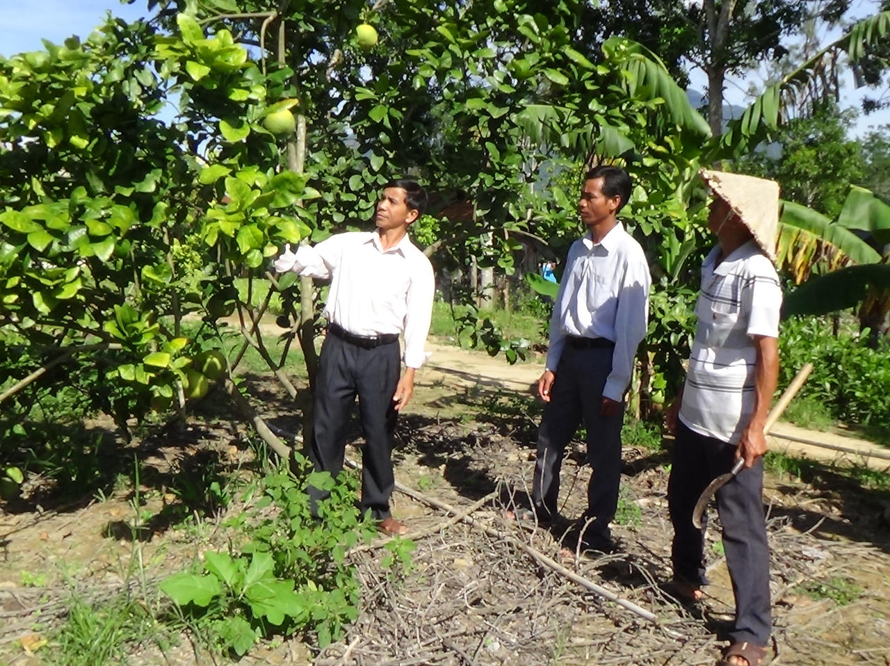 Tăng cường liên kết vùng, kết hợp phát triển du lịch đưa nông sản TP Hồ Chí Minh hội nhập kinh tế quốc tế