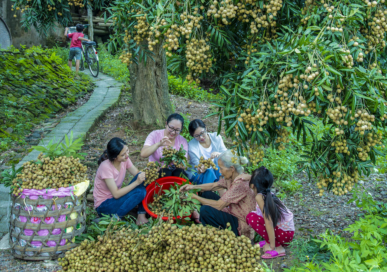 Hưng Yên - vùng đất giàu tiềm năng du lịch văn hóa và trải nghiệm