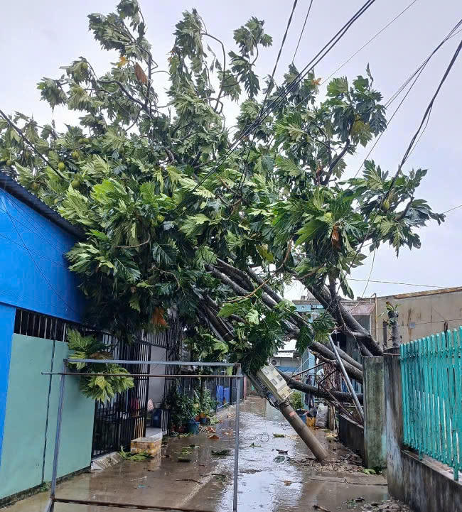 Không trú mưa, trú giông dưới cột điện, trạm biến áp, cây lớn hoặc công trình gần đường dây điện. Ảnh: EVNSPC