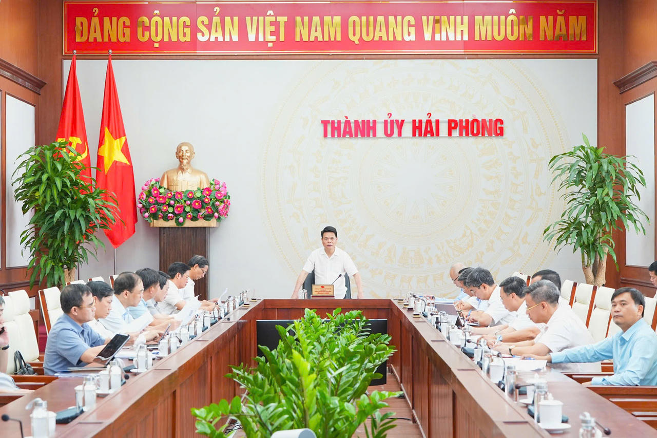 Thường trực Thành ủy Hải Phòng cho ý kiến về loạt dự án quan trọng