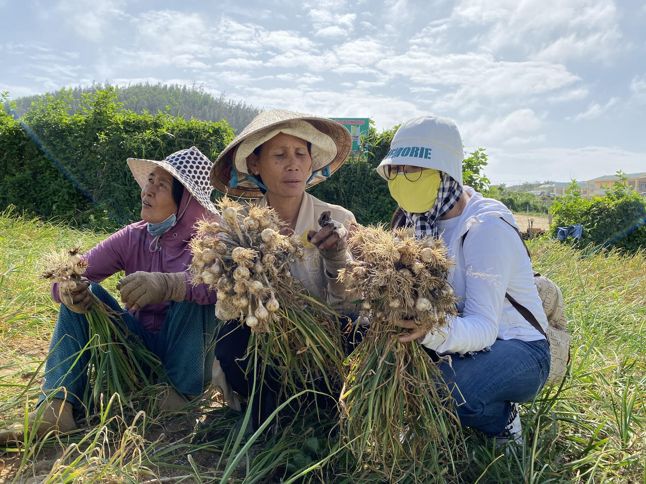  Bài 1: Quyết tâm đưa Lý Sơn thành “thiên đường giữa biển” 