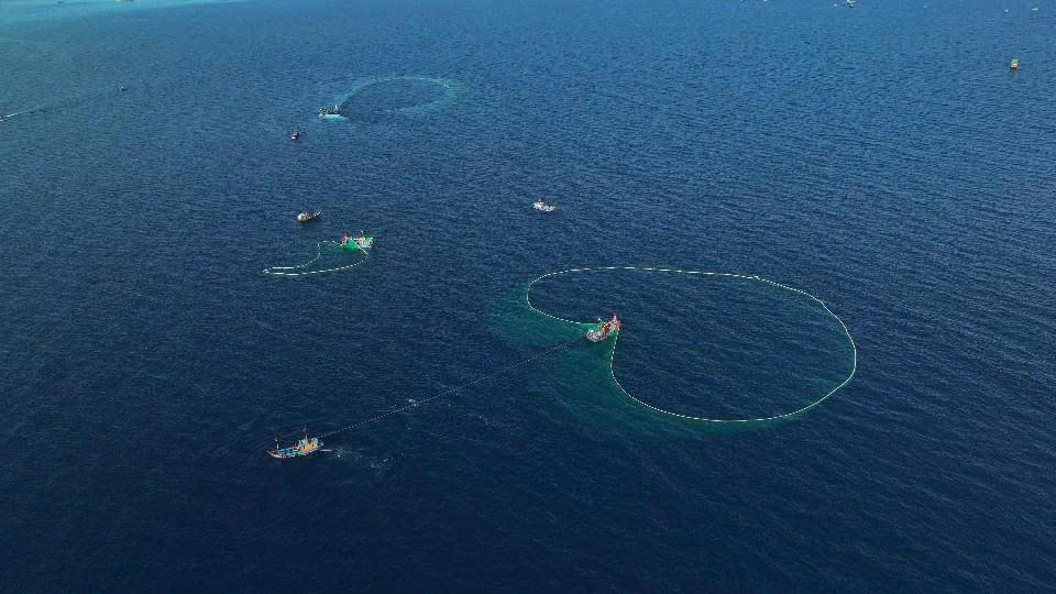  Bài 1: Quyết tâm đưa Lý Sơn thành “thiên đường giữa biển” 