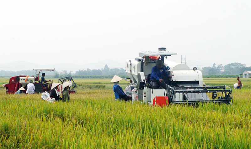 Giữ mạch vốn chính sách thông suốt ở vùng biển Diễn Châu