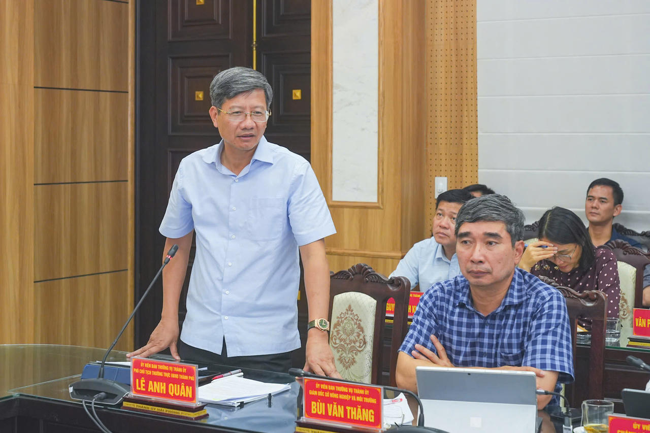 Phó Chủ tịch Thường trực UBND thành phố Lê Anh Quân phát biểu tại cuộc làm việc (Ảnh Cổng TTĐT Hải Phòng)