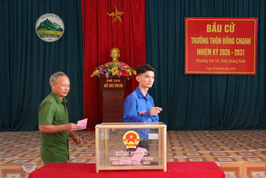 Quảng Ninh đồng loạt tiến hành bầu trưởng thôn, bản, khu phố