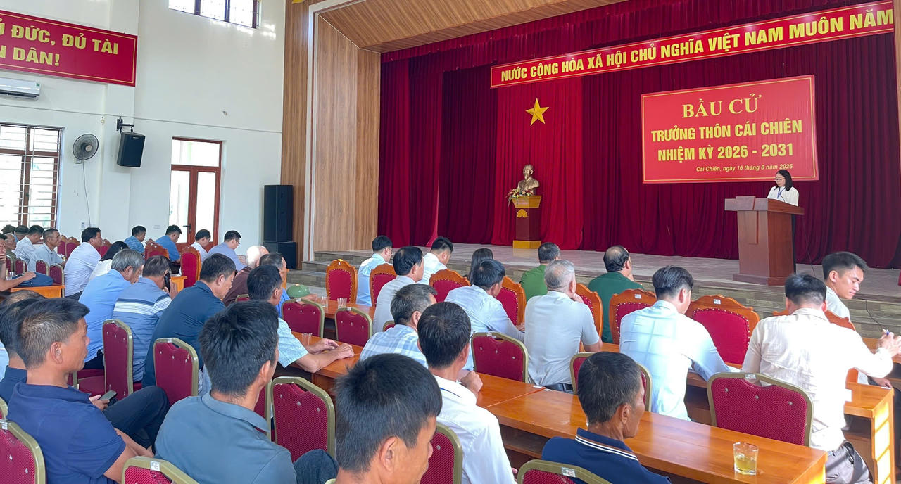 Quảng Ninh đồng loạt tiến hành bầu trưởng thôn, bản, khu phố