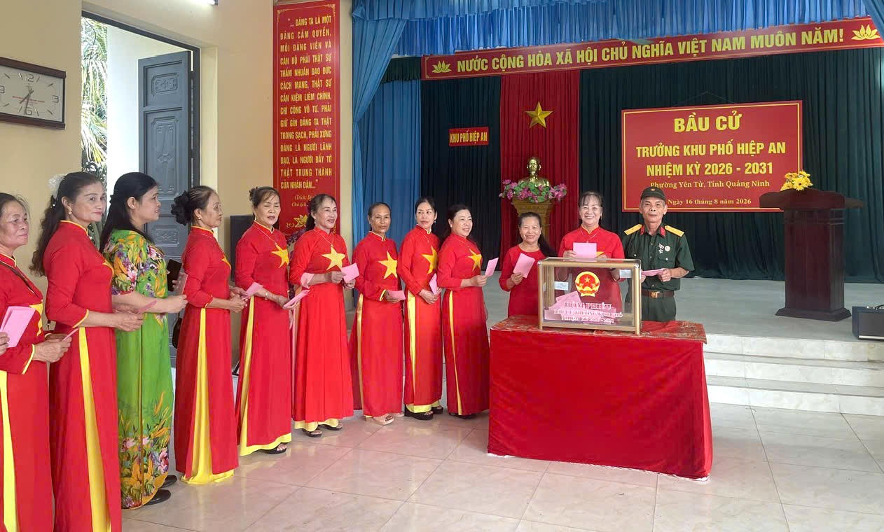 Quảng Ninh đồng loạt tiến hành bầu trưởng thôn, bản, khu phố