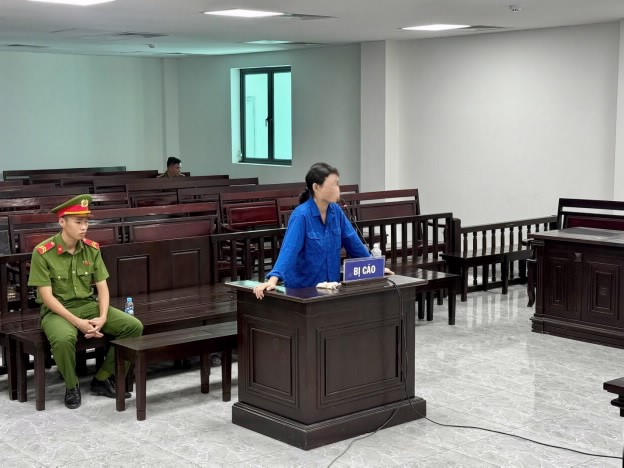 Nữ 'cò đất' lừa đảo ở Hà Tĩnh lĩnh hơn 12 năm tù