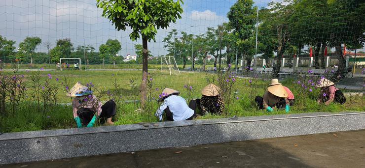 Sở NN&MT Hà Nội triển khai dự án không gian xanh, nông nghiệp đô thị