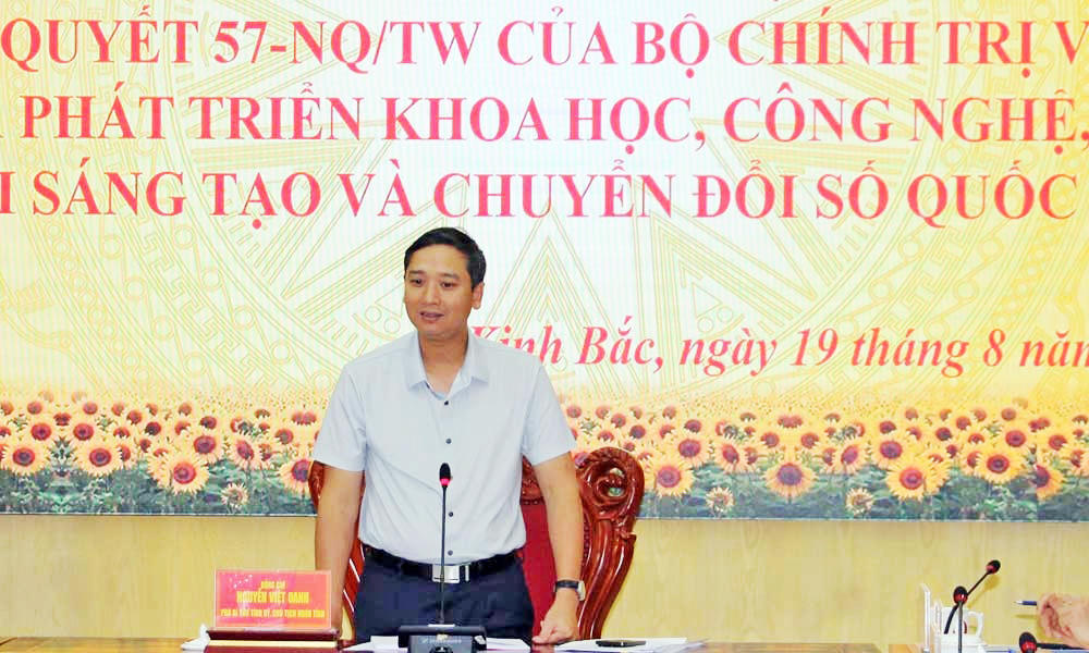 Chủ tịch HĐND tỉnh Nguyễn Việt Oanh phát biểu kết luận buổi giám sát (Ảnh Báo Bắc Ninh)