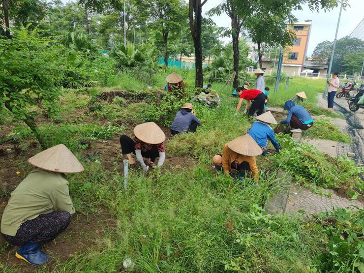 Sở NN&MT Hà Nội triển khai dự án không gian xanh, nông nghiệp đô thị