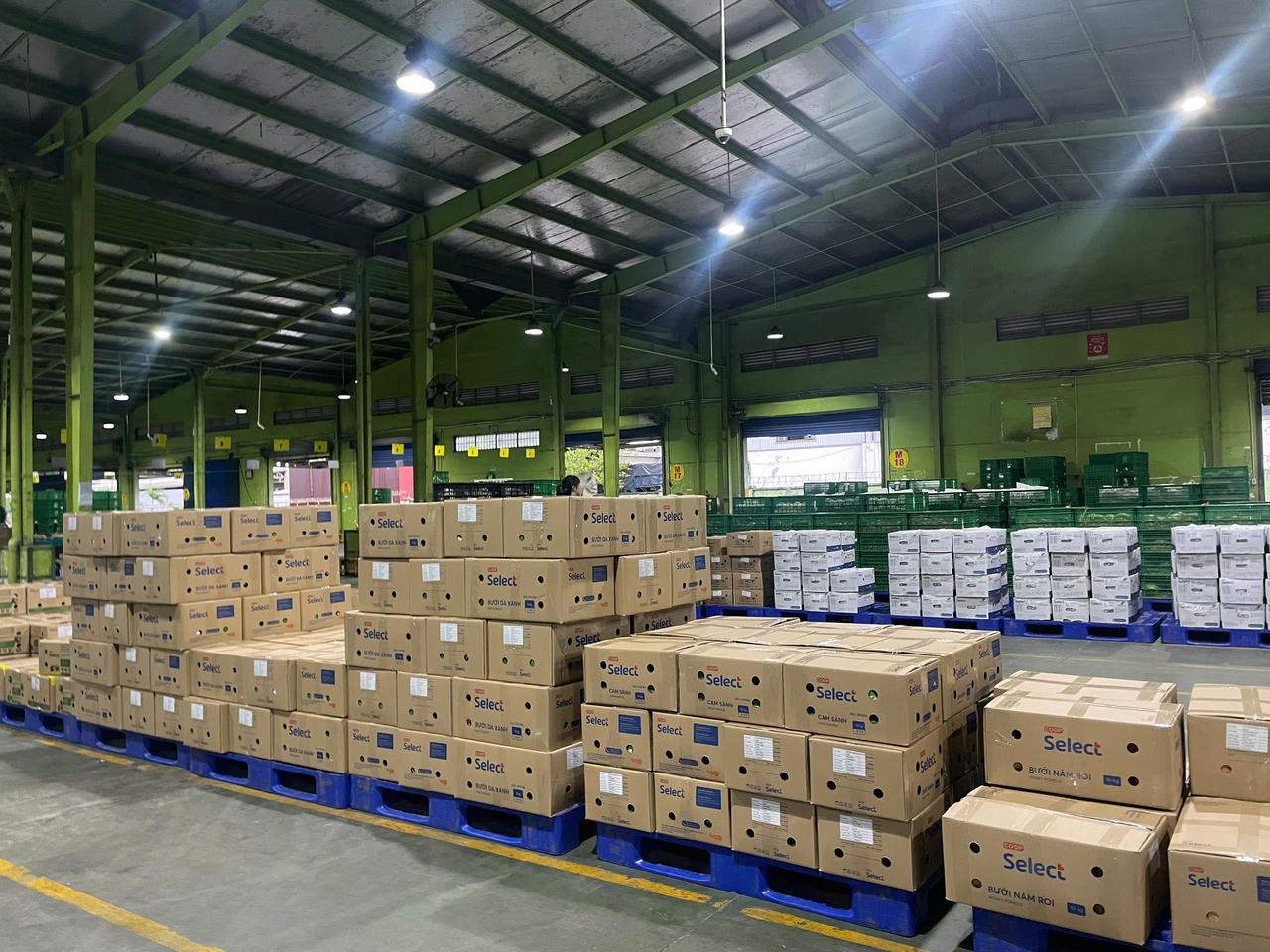 Từ nông trại đến tay người tiêu dùng: Saigon Co.op thí điểm truy xuất nguồn gốc
