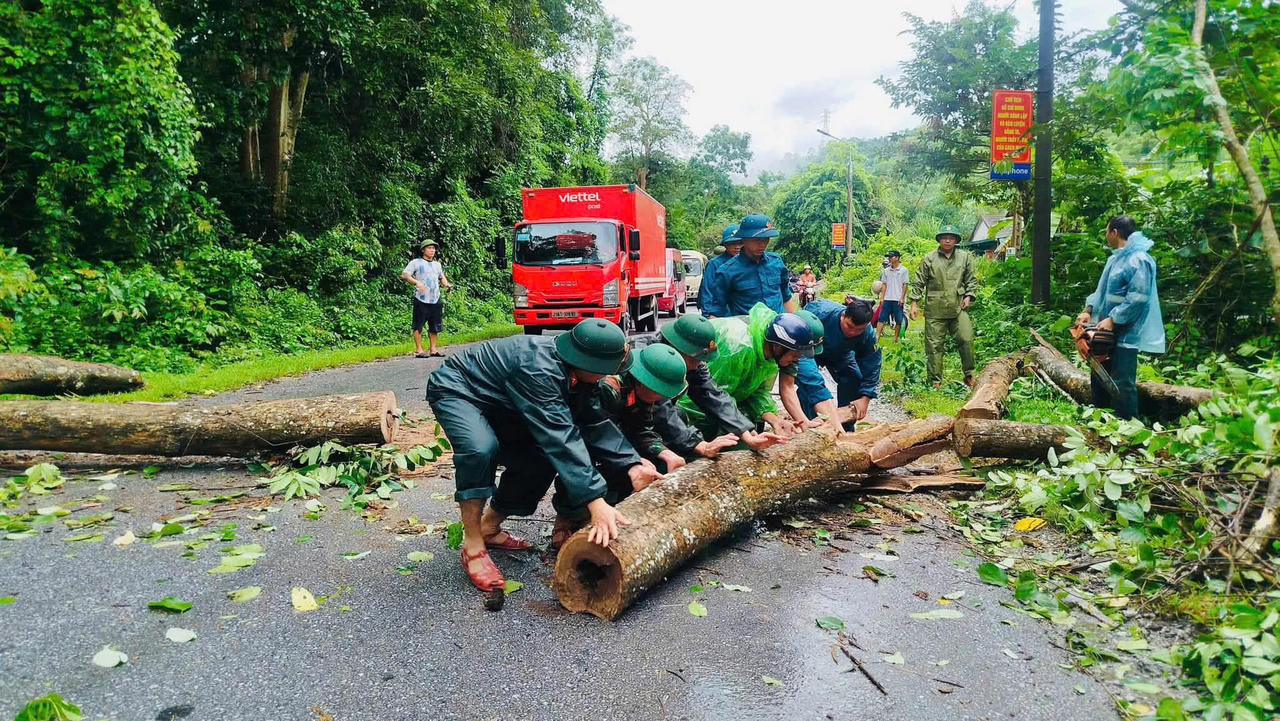 Chính quyền cùng người dân và lực lượng chức năng xã Tam Quang dọn dẹp cây đổ trên đường (Ảnh người dân cung cấp)