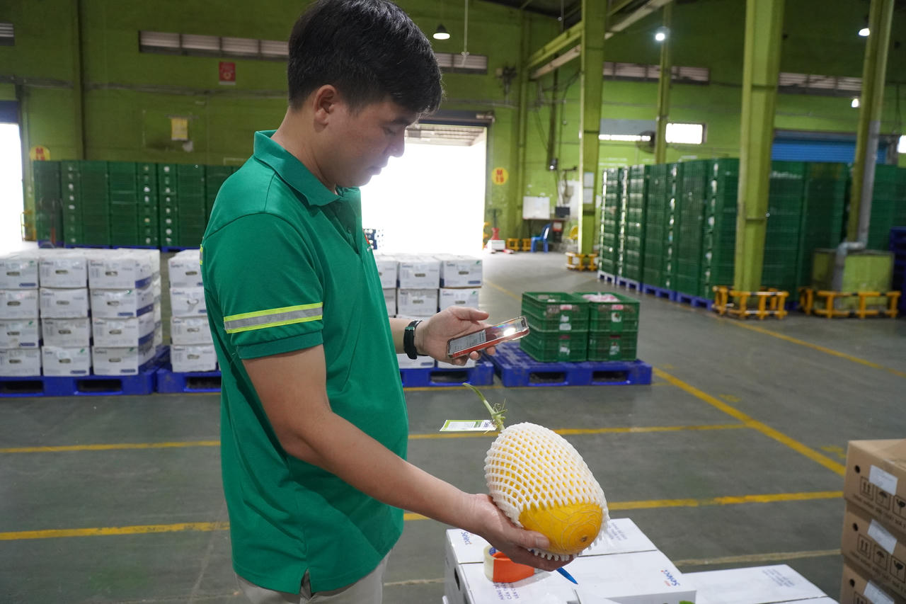 Từ nông trại đến tay người tiêu dùng: Saigon Co.op thí điểm truy xuất nguồn gốc