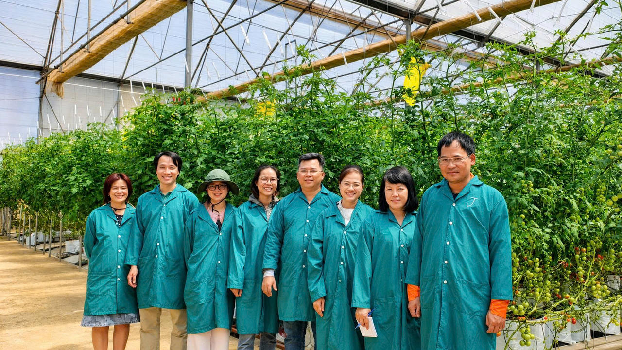 Đại diện Phòng Quản lý chất lượng khảo sát tại vùng trồng cà chua. Ảnh: Saigon Co.op