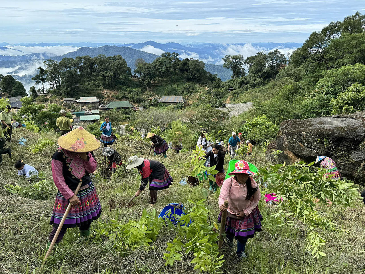 Việt Nam tham gia UNCCD COP17: Từ cam kết quốc tế đến nguồn tài chính xanh giúp phục hồi rừng