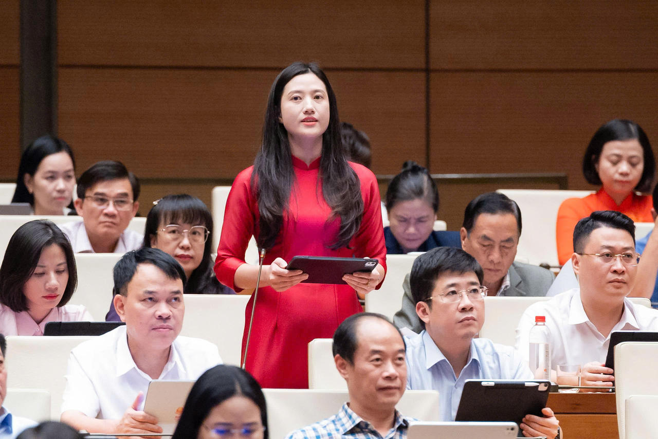 Đại biểu Sí Thị Mai Anh nêu ý kiến thảo luận.
