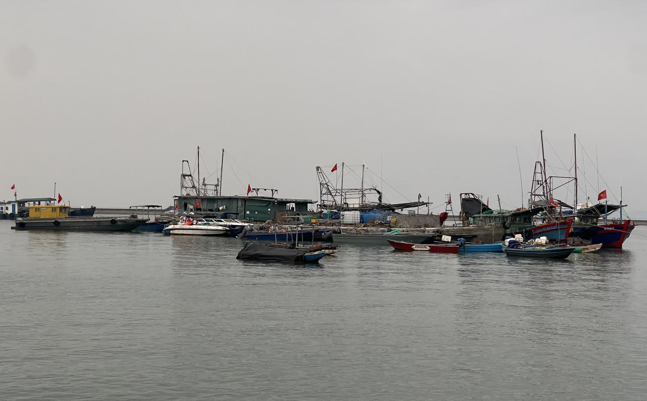 Quảng Ninh: Tạm ngừng cấp phép tàu ra khơi