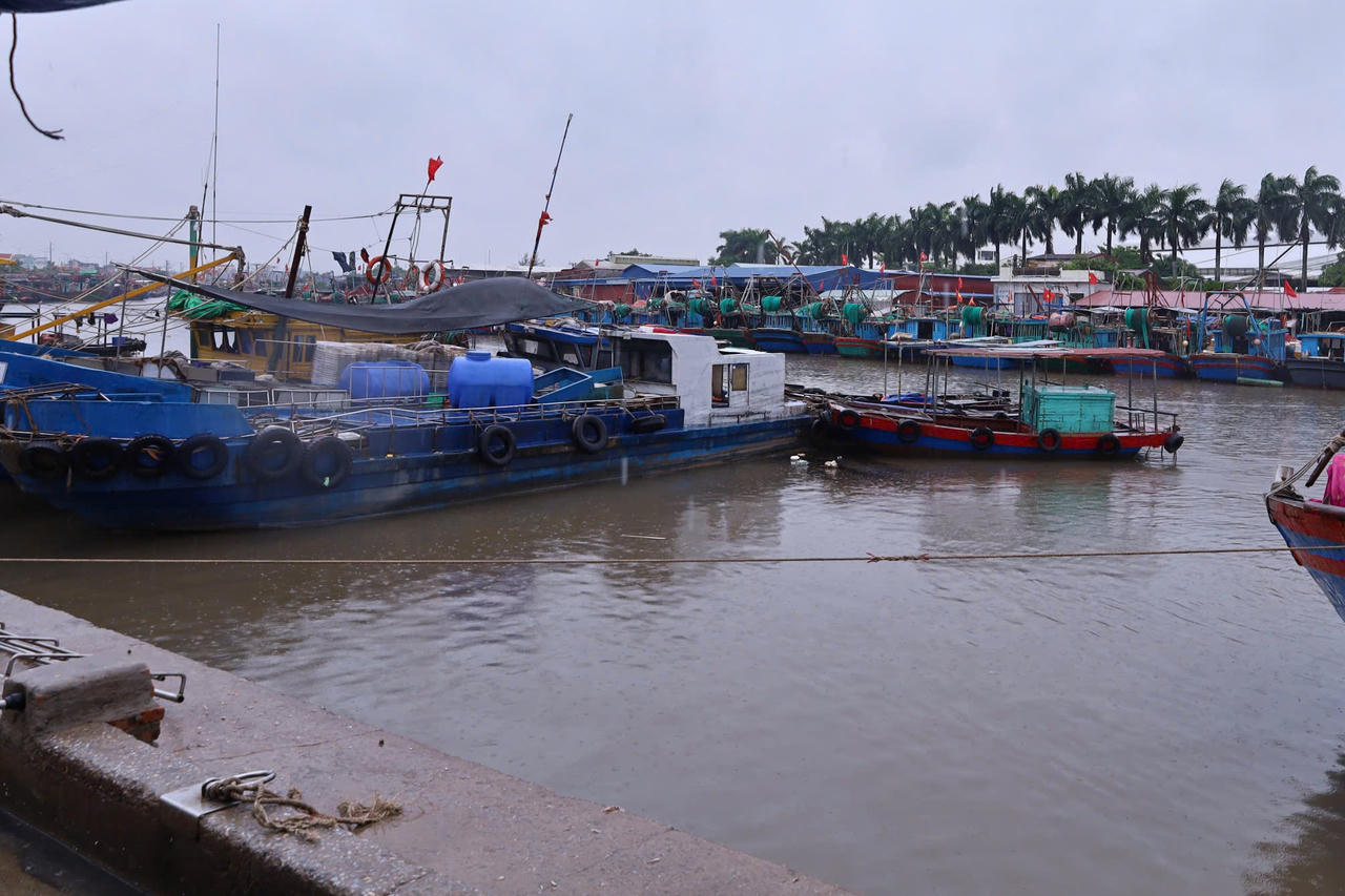 Hải Phòng: Chủ động ứng phó bão số 4 tại các khu vực trọng điểm
