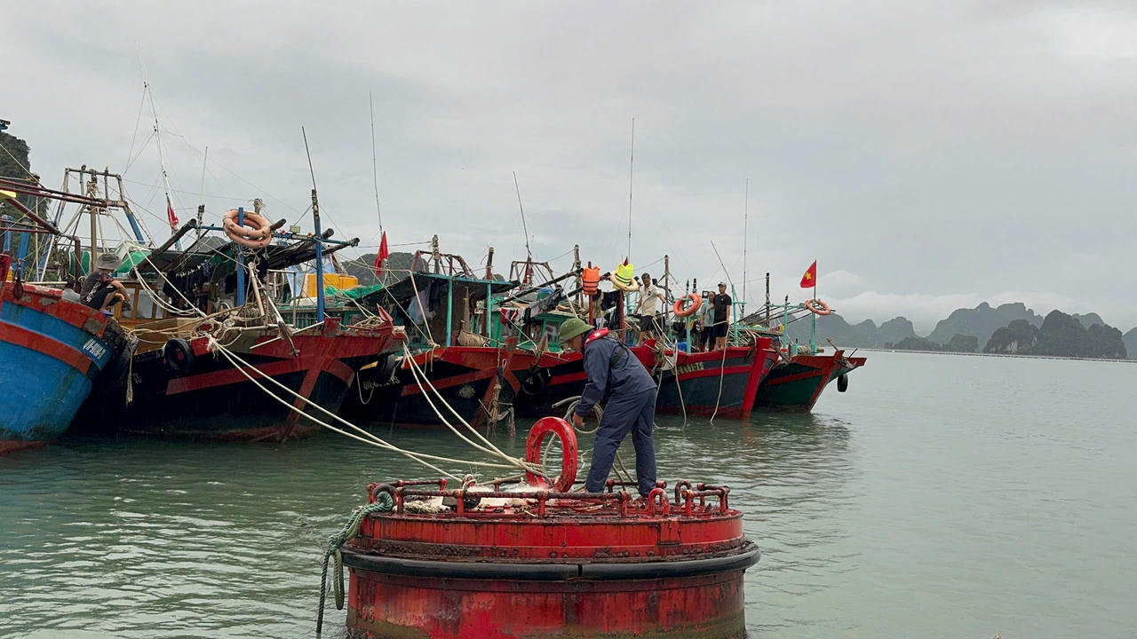 Quảng Ninh chủ động lực lượng, phương tiện ứng phó bão số 4 