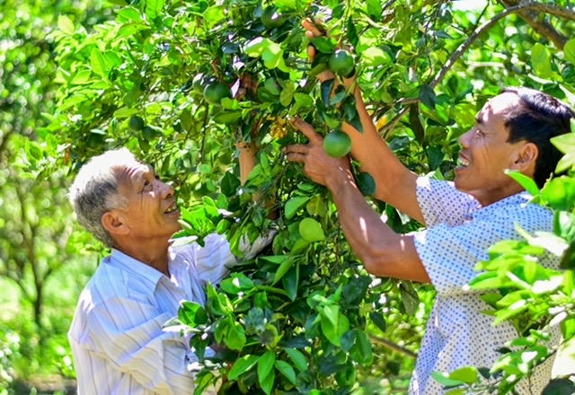 Mục đích xây dựng NTM ở xã Gio Linh là trở thành một vùng quê đáng sống (Ảnh: Trần Tuyền)