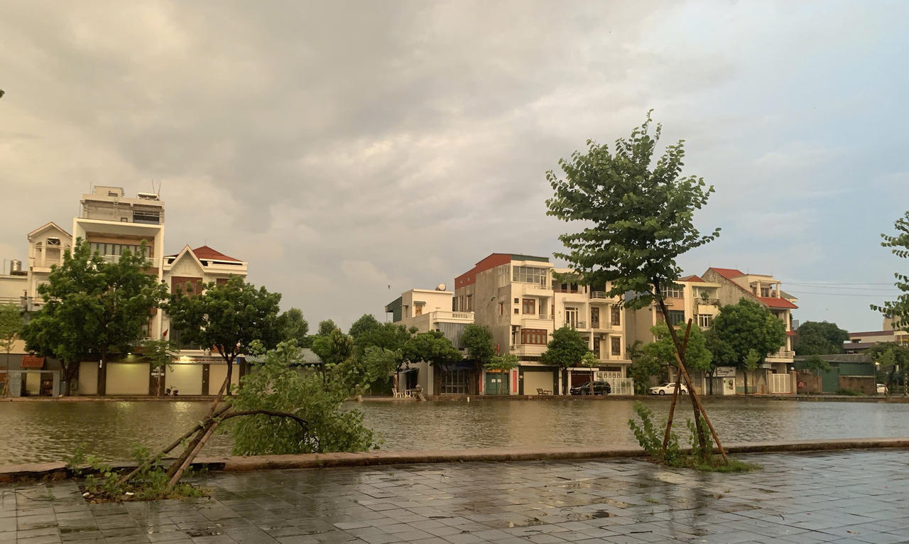 Đường Nguyễn Đức Khiêm (phường Thành Đông) (Ảnh: Công ty Cổ phần Quản lý công trình đô thị Hải Dương)