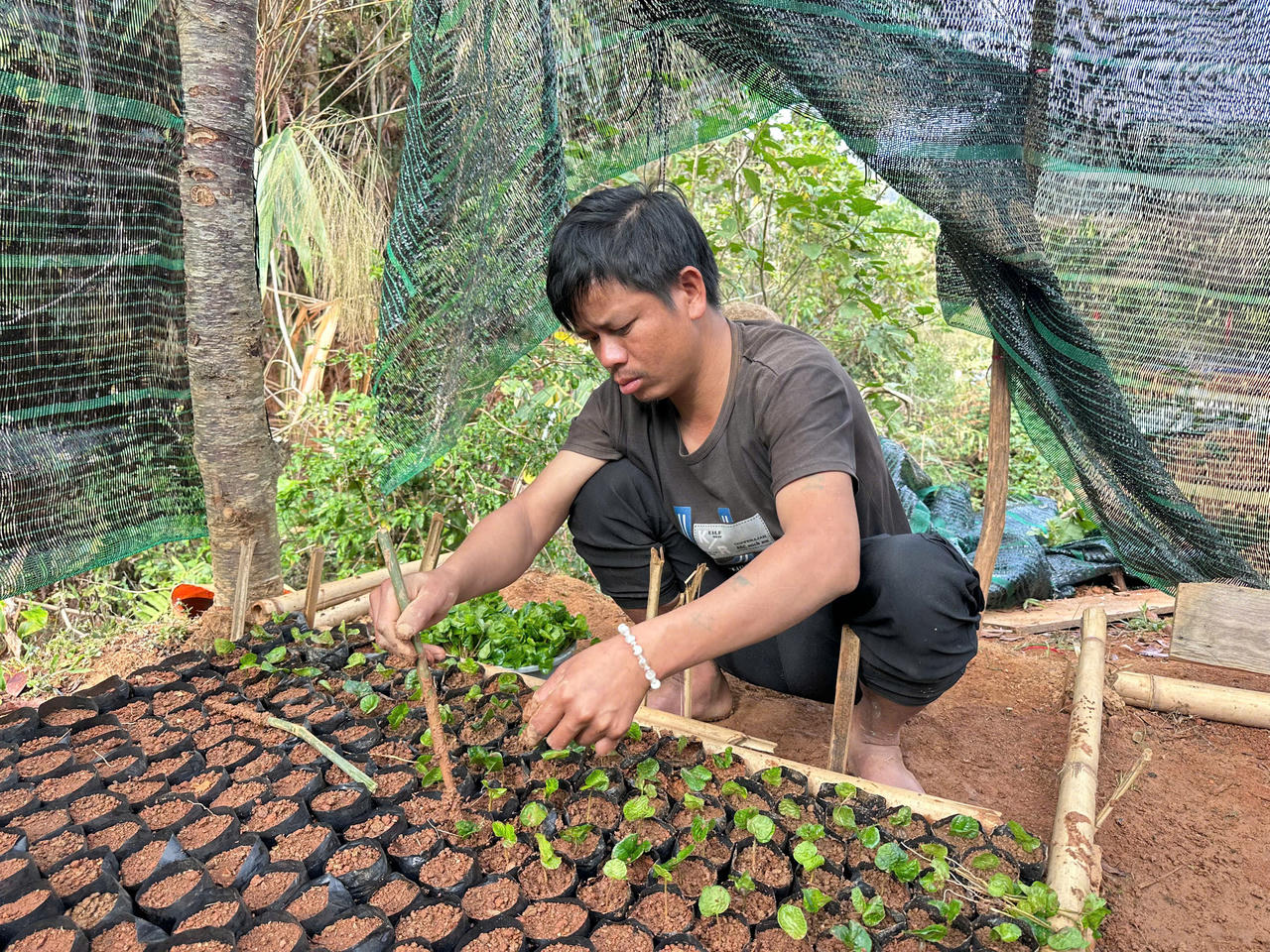 Quảng Ngãi ưu tiên phát triển nông nghiệp sinh thái, hữu cơ, sản xuất giảm phát thải, xây dựng thương hiệu, mở rộng thị trường và phát triển sản phẩm OCOP phù hợp với lợi thế từng địa phương. (ảnh Vân Anh)