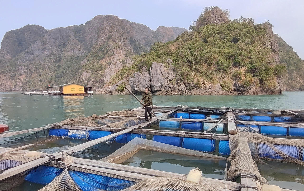 Quảng Ninh đặt mục tiêu phát triển 1.500 hợp tác xã đến năm 2030