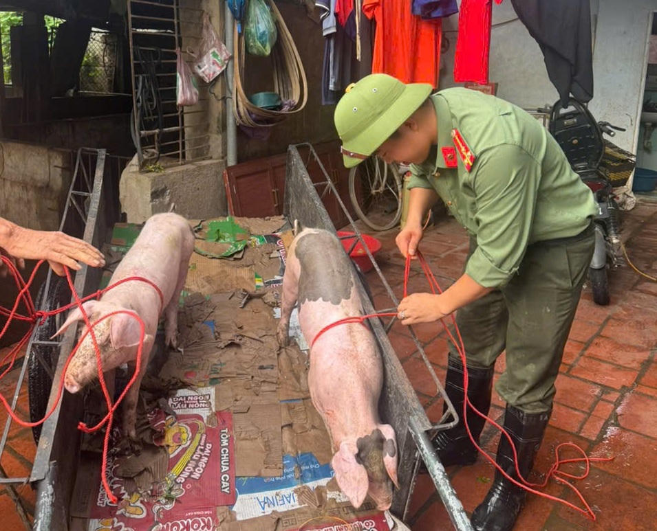 Công an tỉnh Bắc Ninh tích cực hỗ trợ người dân chủ động ứng phó mưa lũ
