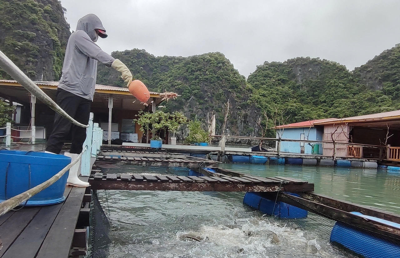 Quảng Ninh đặt mục tiêu phát triển 1.500 hợp tác xã đến năm 2030