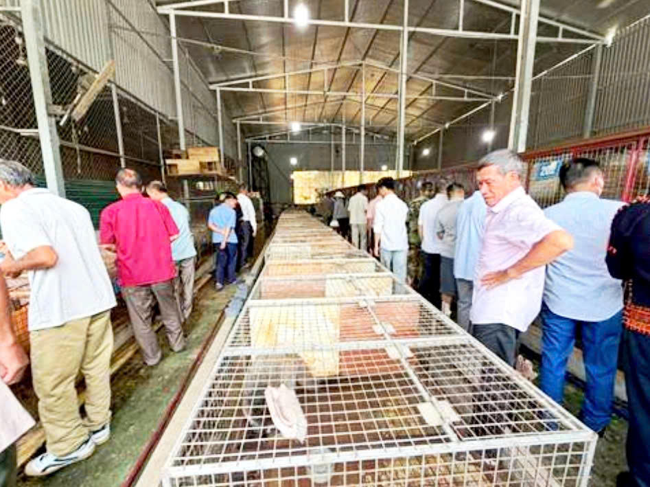 Đại biểu người uy tín tìm hiểu mô hình phát triển kinh tế tại thôn Bình Phú, xã Sơn Dương, tỉnh Tuyên Quang. Ảnh: Sở Dân tộc và Tôn giáo tỉnh Lạng Sơn.