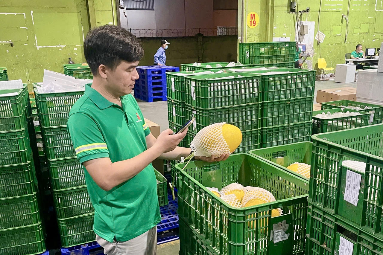 Saigon Co.op kiểm soát hàng hoá từ gốc, đẩy mạnh truy xuất, minh bạch chuỗi cung ứng