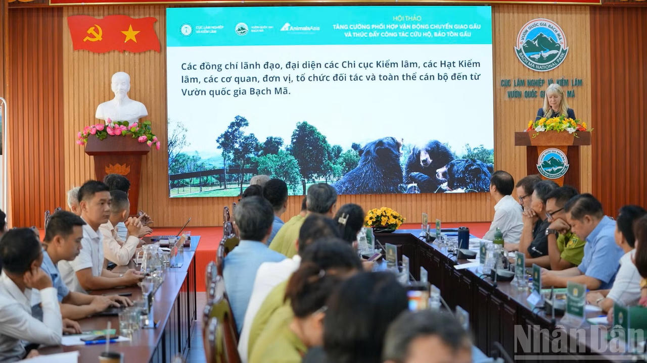 Hội thảo tăng cường phối hợp vận động chuyển giao gấu và thúc đẩy công tác cứu hộ, bảo tồn gấu tại vào ngày 24/8. (Ảnh: Thảo Lê/ND)