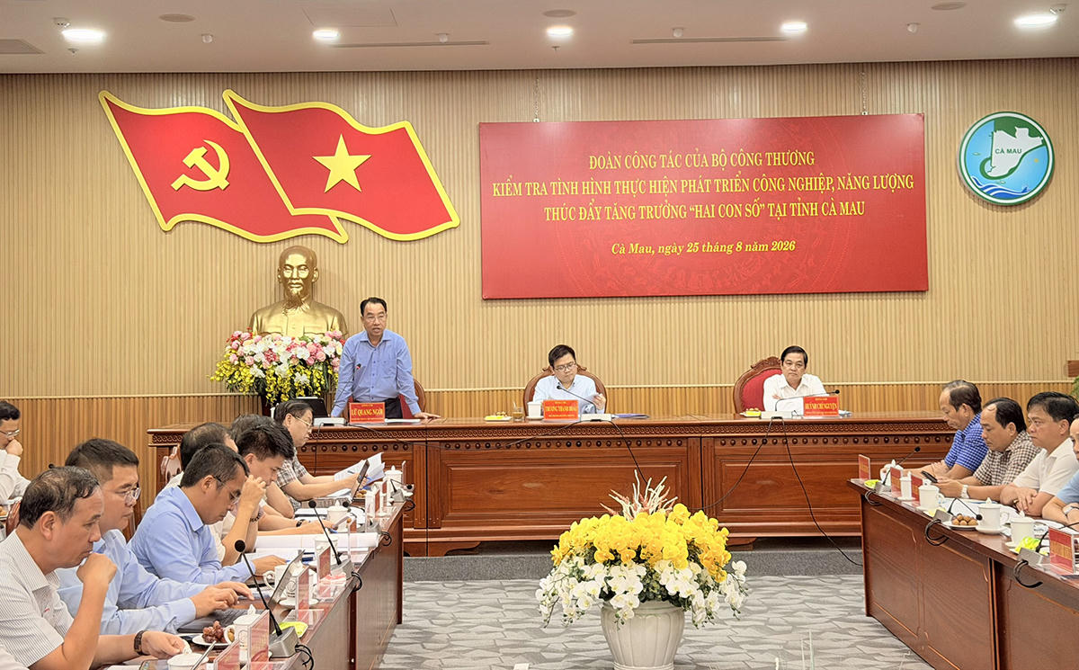 Chủ tịch UBND tỉnh Cà Mau - Lữ Văn Ngời phát biểu tại buổi làm việc
