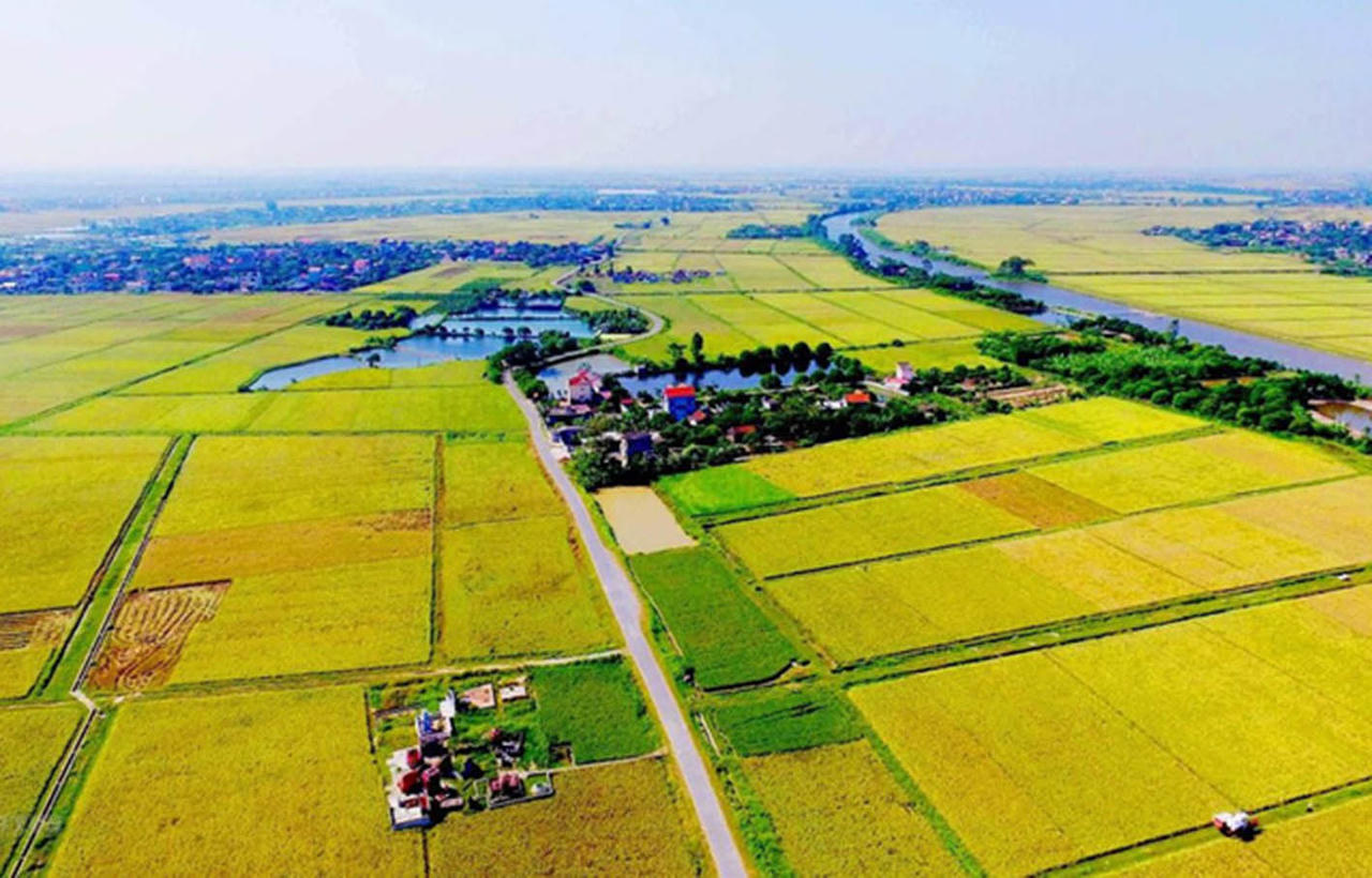 Hồ sơ miễn thuế, giảm thuế đối với thuế sử dụng đất nông nghiệp gồm những gì?